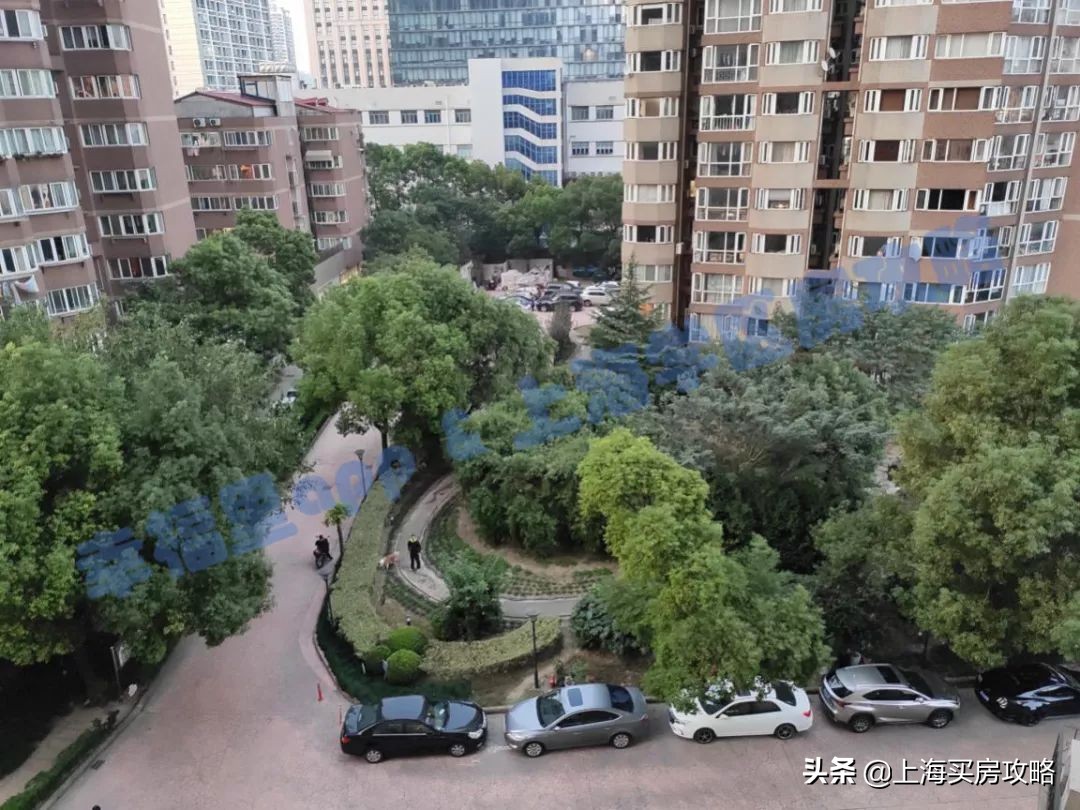 徐汇四大公办小学对比,上海汇师小学和分校