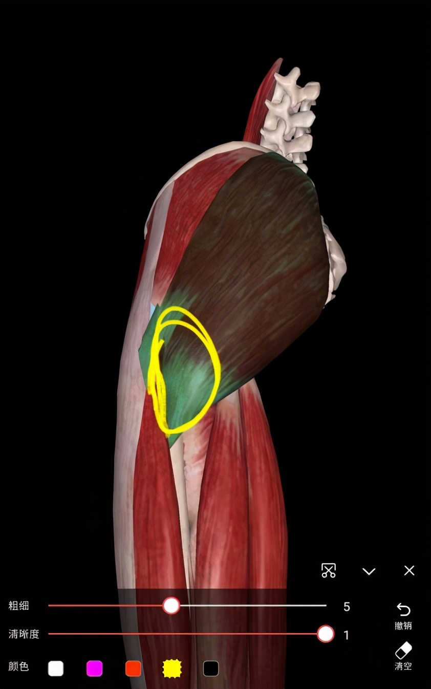 久坐腰骶麻木疼活动后减轻,久坐导致腰骶部疼吃什么药