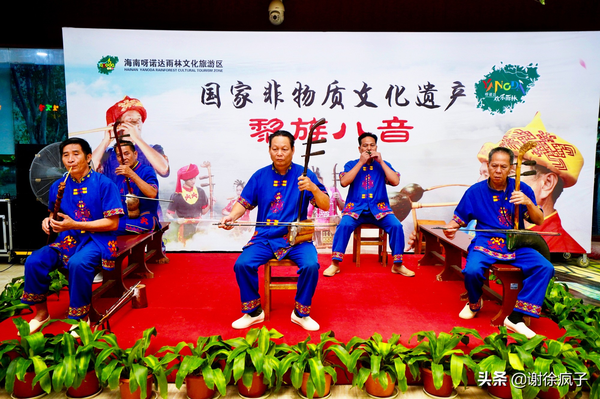 三亚呀诺达景区,三亚呀诺达热带森林公园位置