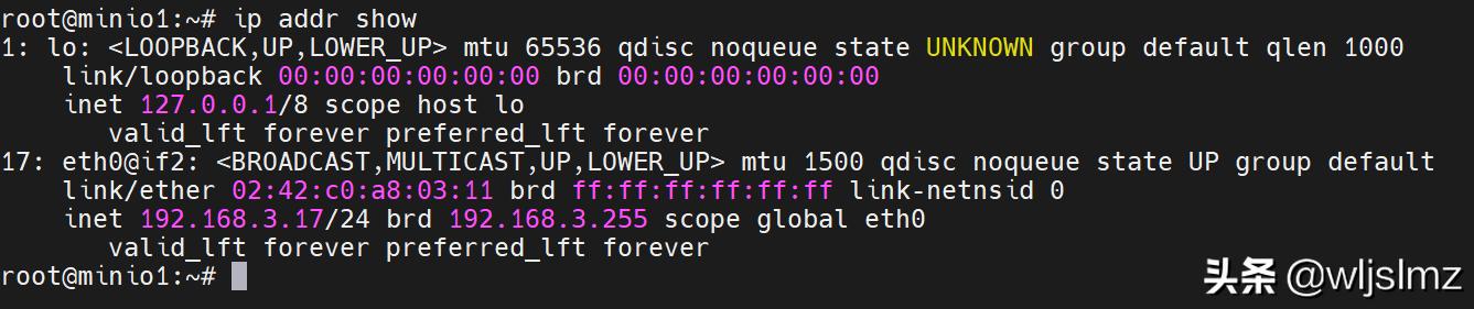 Linux系统查看本地IP,linux系统如何查看ip地址