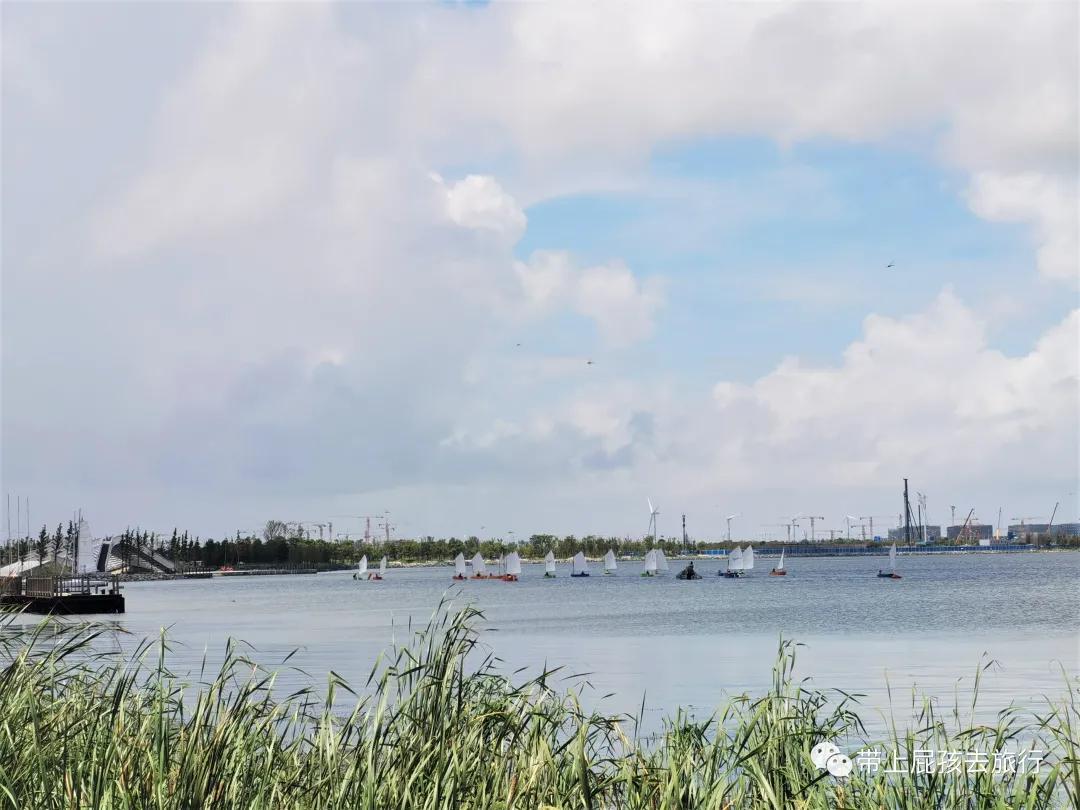 上海天文馆和科技馆哪个更值得去,上海天文馆两小时游览攻略