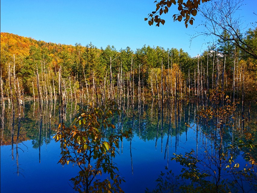 日本从南到北旅游路线,从南游到北
