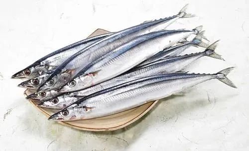 提高抵抗力的宠物食品,增加宠物抵抗力吃什么食物