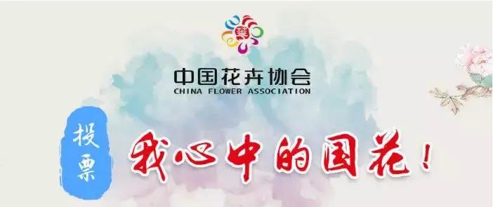 pick国花评选,国花评选活动