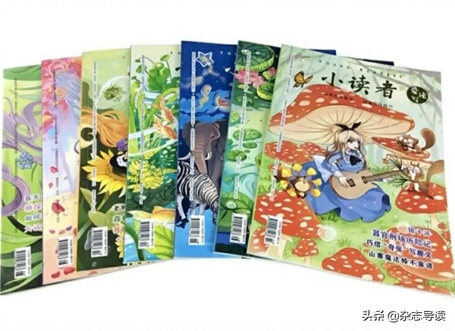 写作必看杂志推荐儿童,能帮助孩子写作提升的文学杂志