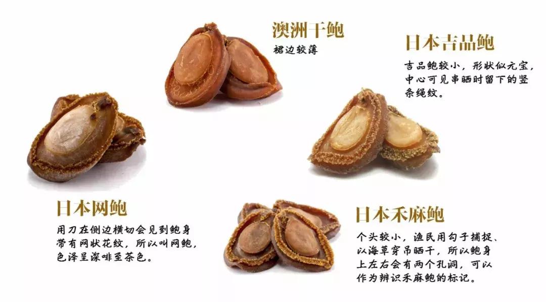 干鲍鱼个头介绍,干鲍鱼有什么规格标准