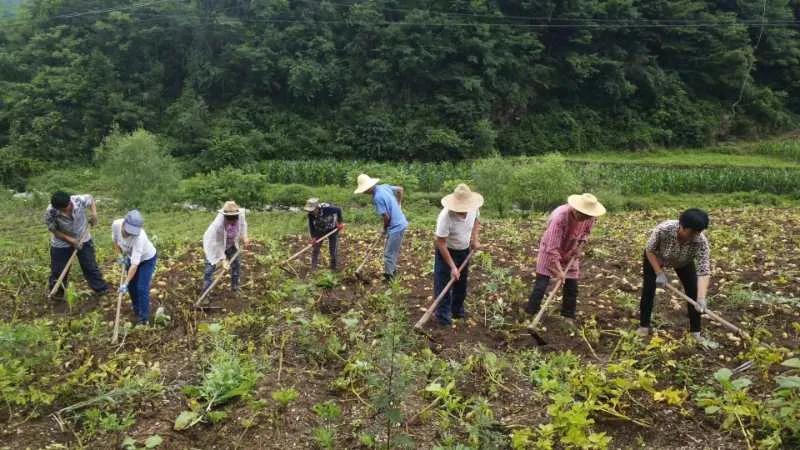 鍗佸牥瓒呭叏钄彍姘存灉,鍗佸牥鏂伴矞姘存灉