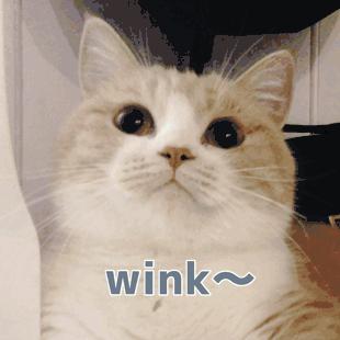 那些年用过的鸡肋韩妆你中枪了吗,用了这么多韩妆后的感受