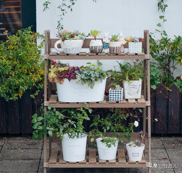 碧桂园阳台花园打造方法,50平打造网红阳台