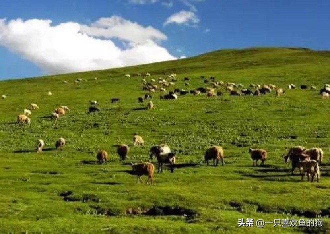 平凡的世界金波个人简历,平凡的世界最后一次提到金波