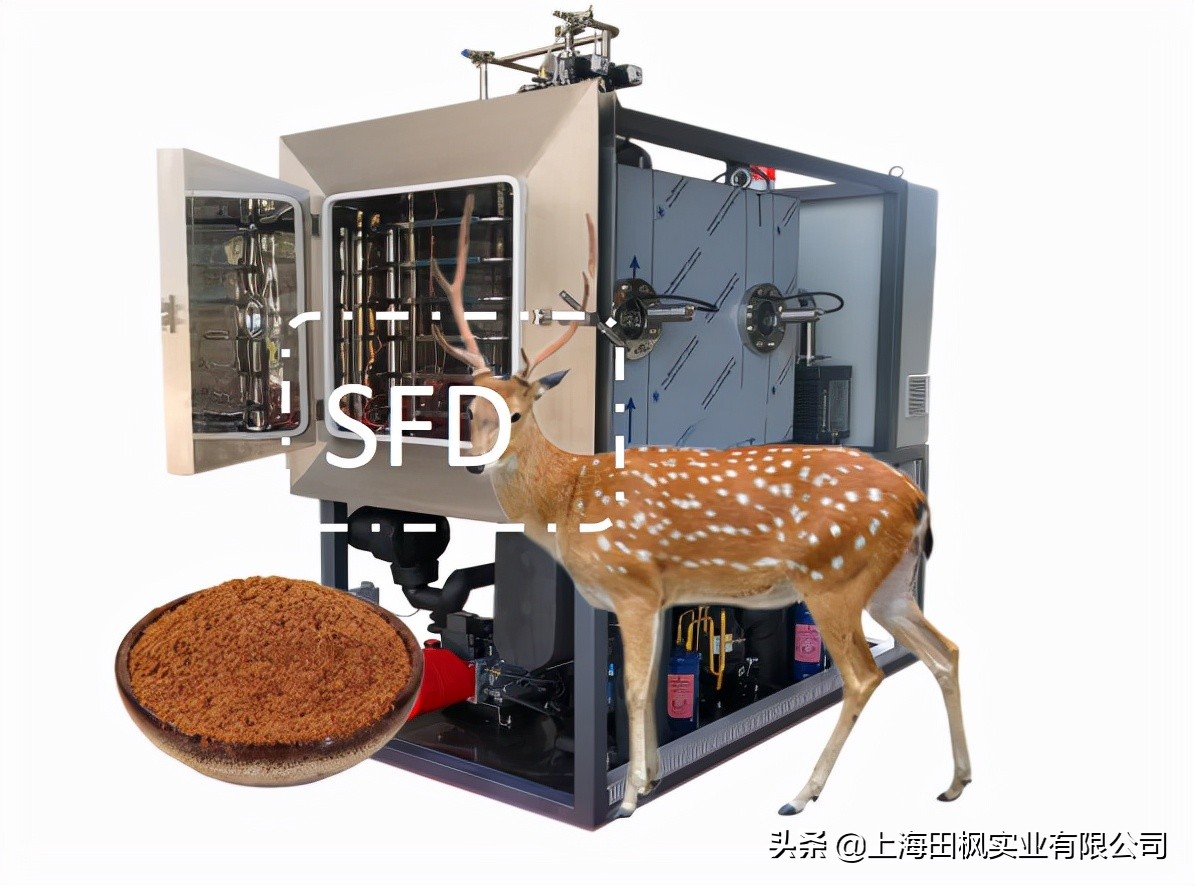 鹿茸烘干机设备,厂家鹿茸鹿血加工设备