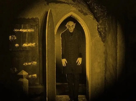 吸血鬼始祖百科全书,吸血鬼进化论