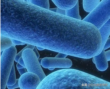 霉菌性阴道炎让女人苦不堪言，做好这3件事，阴道炎再不会找上门