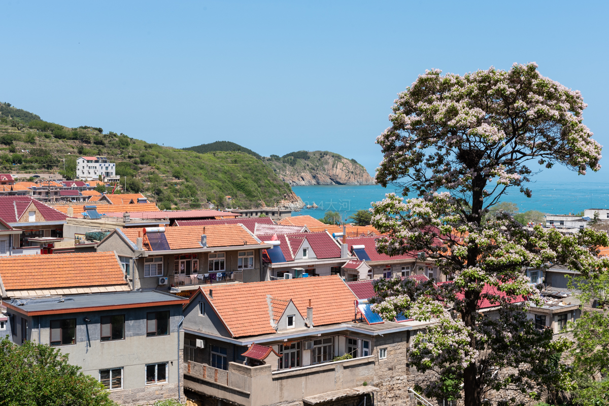 世外桃源意大利五渔村,青山村青岛网红渔村攻略