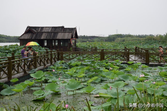 江苏常熟沙家浜旅游攻略,江苏常熟沙家浜地图
