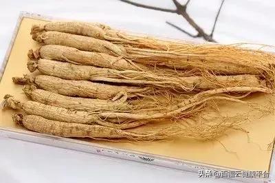 每周一药人参的功效,每天认识一味药人参