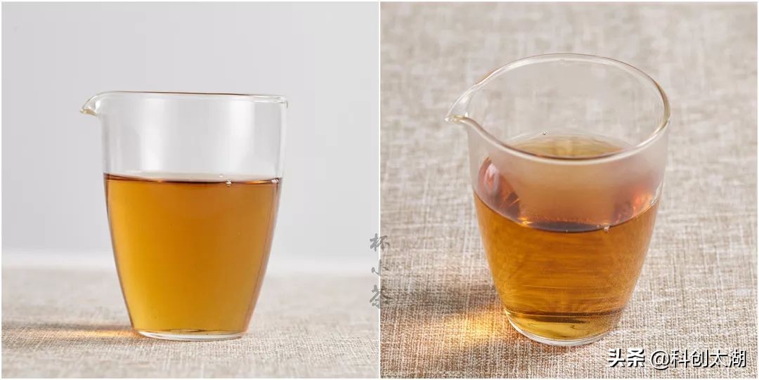 什么茶泡茶最好喝,哪些茶用开水冲泡好喝又健康