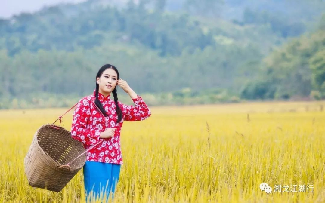 情殇粤语男声,情殇二胡版