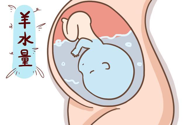 怀孕几个月会很显怀,怀孕几个月还是有奶