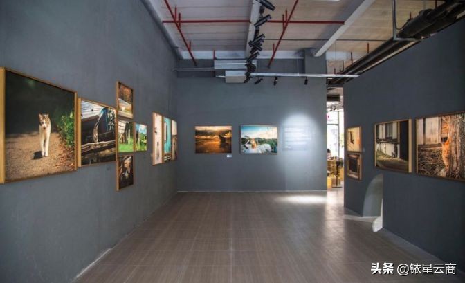 我们一起喵喵喵疯狂版,我们一起喵喵喵完整