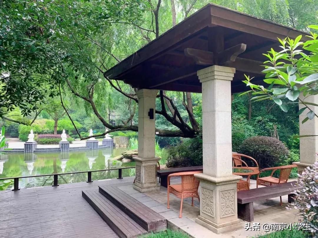 南师大附属中学江山小学地址,南师附中江山小学公示