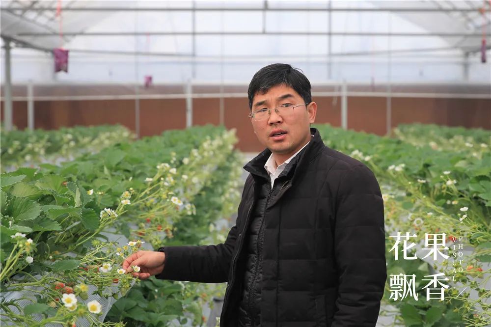 刘博士教种地,刘博士生涯规划