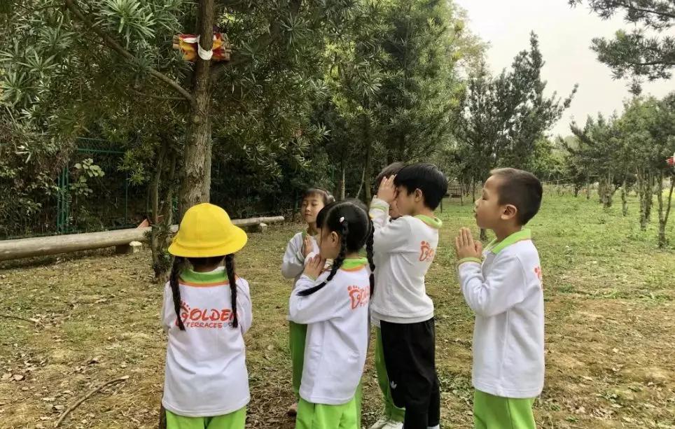 有机农场的盈利模式,生态农场亏损如何盈利