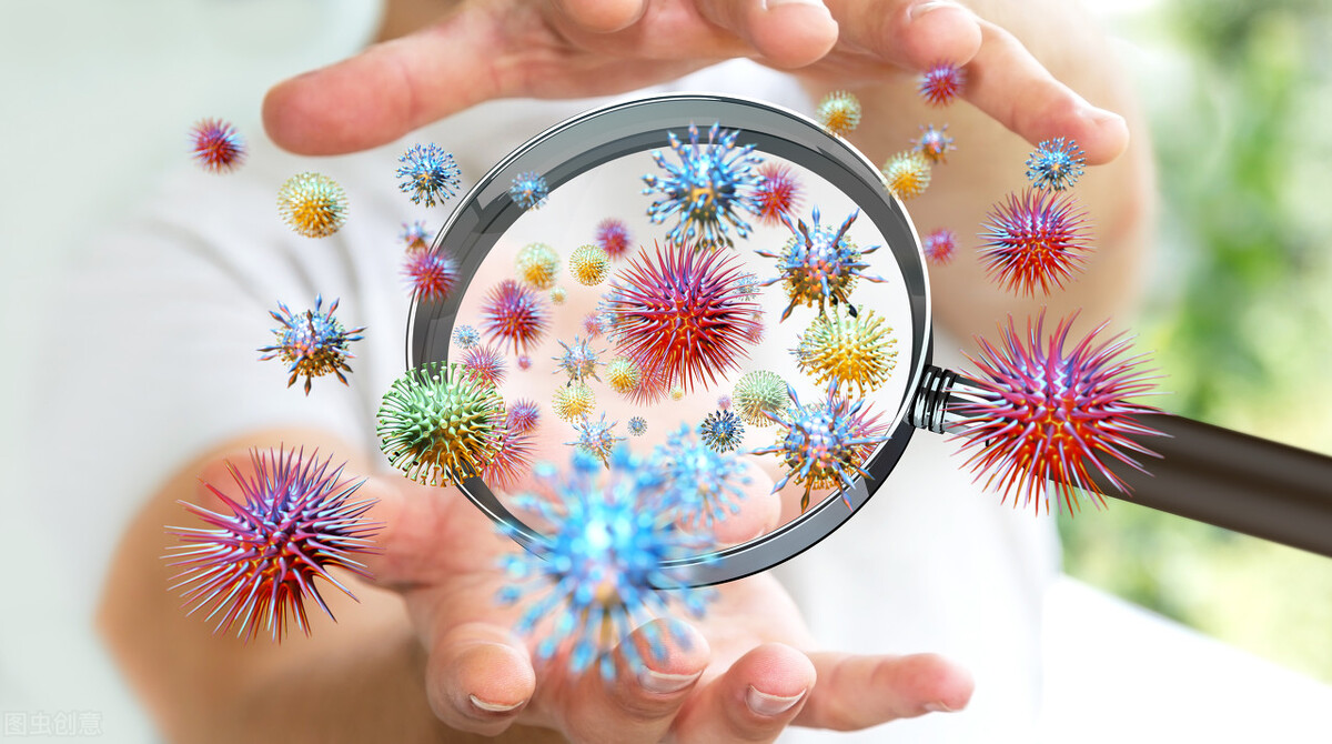 内衣为什么要经常更换,你的内衣有定期更换吗