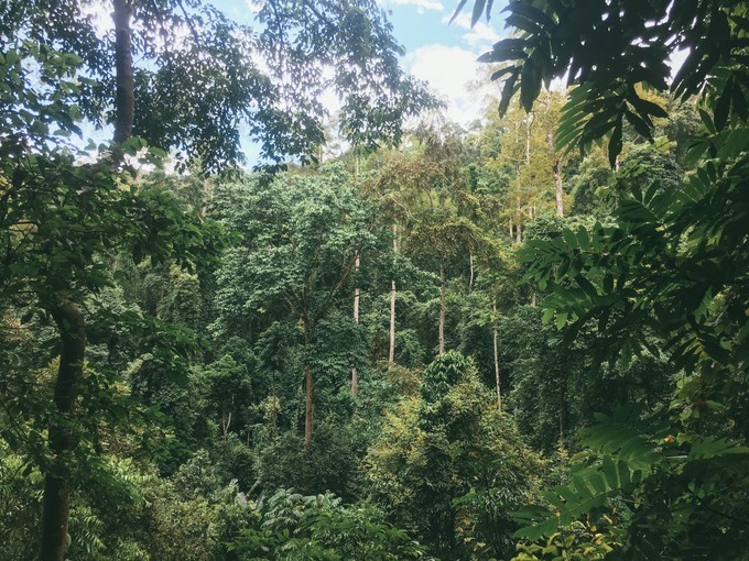 云南不止有风花雪月的苍山洱海,去西双版纳感受傣族民族风情