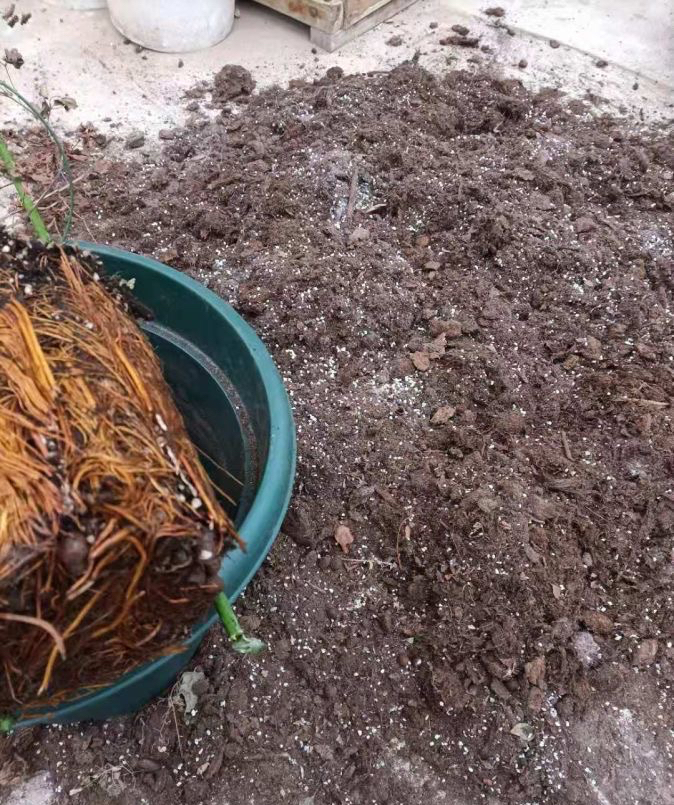 不花钱自制养花土可以吗,养花用过的旧土怎么处理