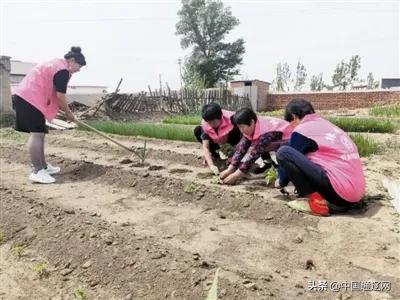 宗文俊:小康路上的“养牛女状元”