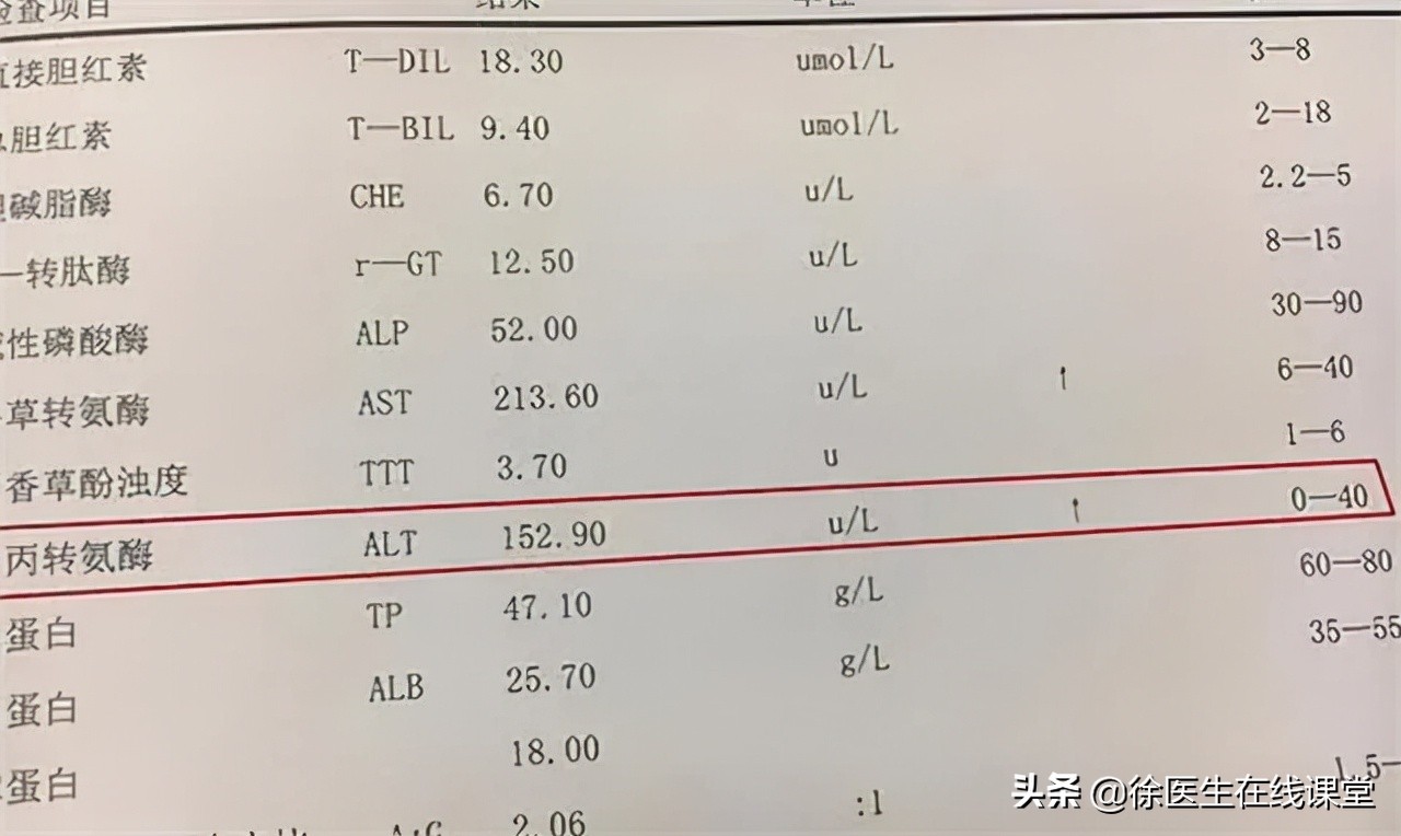 谷草转氨酶和谷丙转氨酶高会怎样,谷草转氨酶500谷丙转氨酶1800