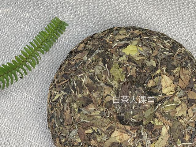 为白茶中的茶梗平反，虽然不好看，对滋味却大有贡献