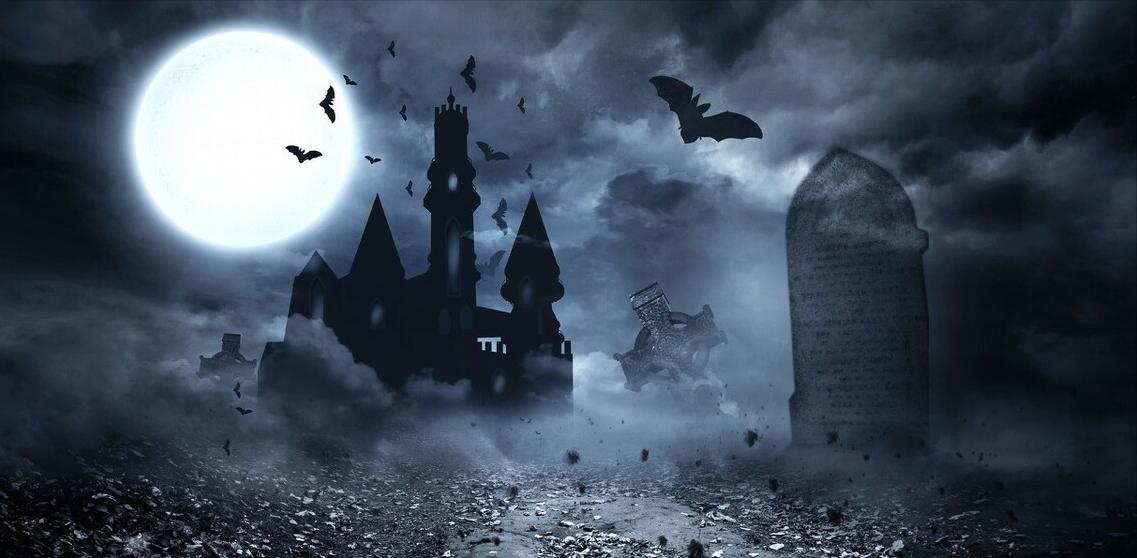 塞尔维亚老铁介绍,塞尔维亚有什么小众东西