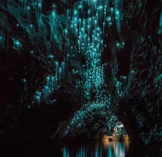 记忆中的旅行之新西兰（北岛）