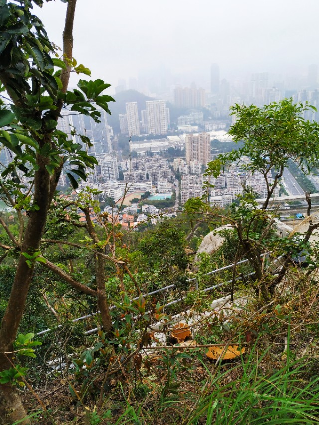 周日跟随珠海户外网板樟山游记