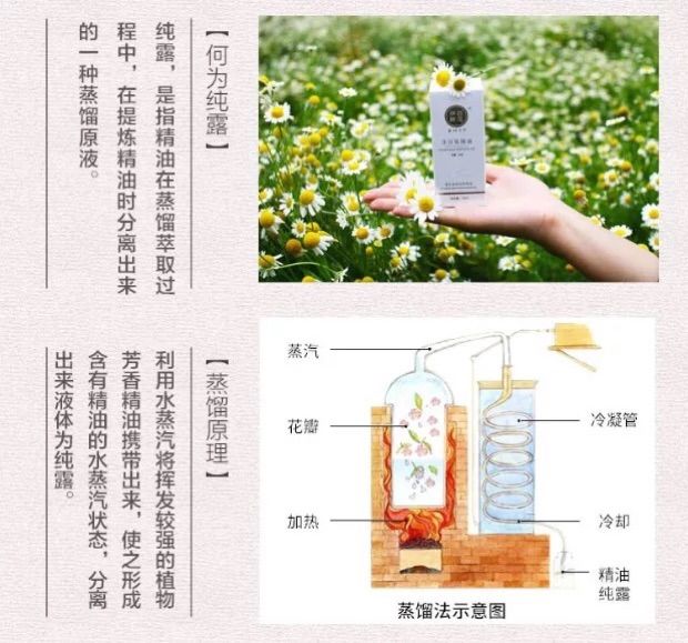 自制纯露的正确使用方法,自制纯露的方法大全