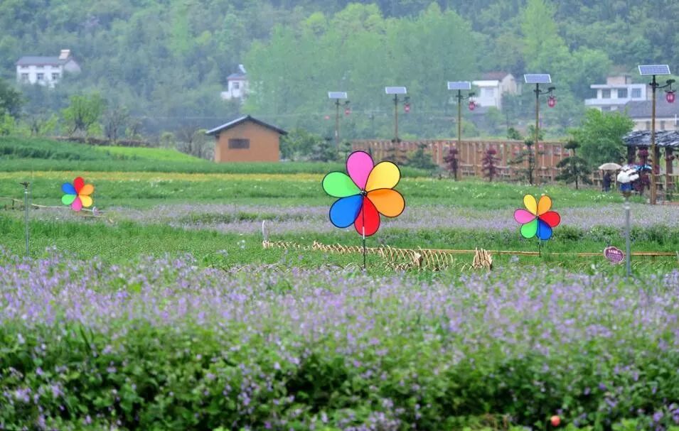 农村三产融合如何搞？一位创业者投资心经：先产品再产业