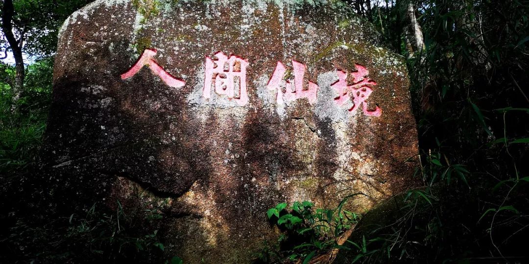 贺州姑婆山景区国家森林公园,贺州姑婆山森林公园路线