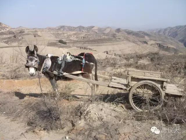 我……把锹插入土中，试探地的墒情。