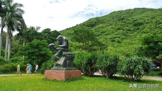 陵水在哪里买特产便宜,陵水必买的十大特产