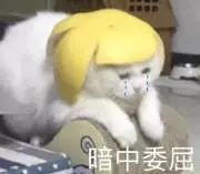 毕业论文常见的问题及解决方法,毕业论文写作常见问题及解决方法