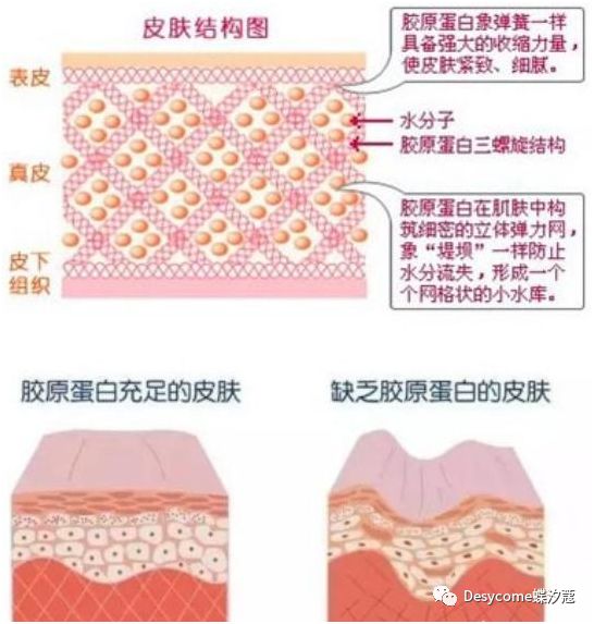 如何减少脸上的胶原蛋白,锻炼身体脸上胶原蛋白会流失吗