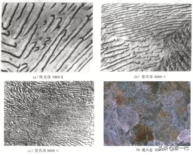 马氏体、奥氏体、珠光体，20种材料彩色金相，带你轻松识别