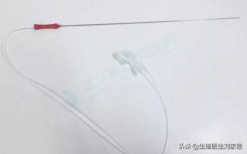 做试管婴儿取卵取精如何一次成功？害羞的知识又增加了