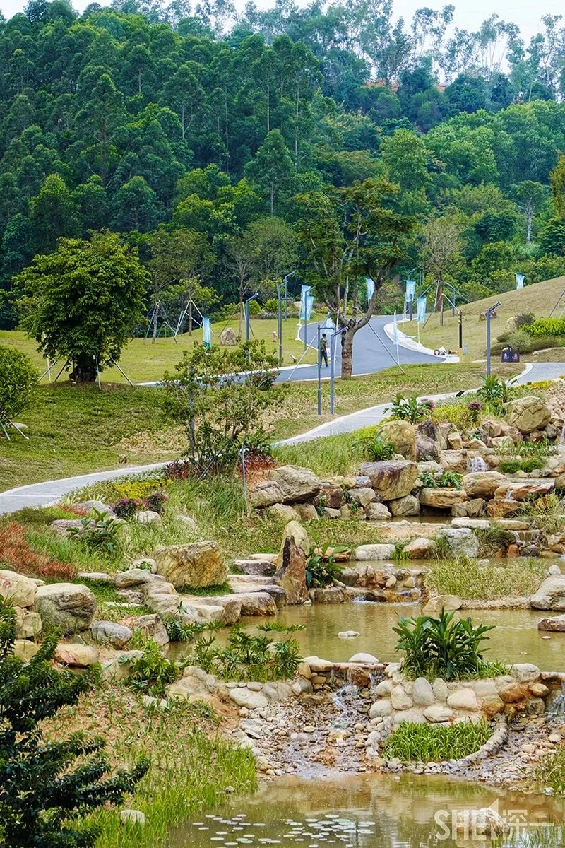 深圳龙华公园推荐,深圳龙华免费公园