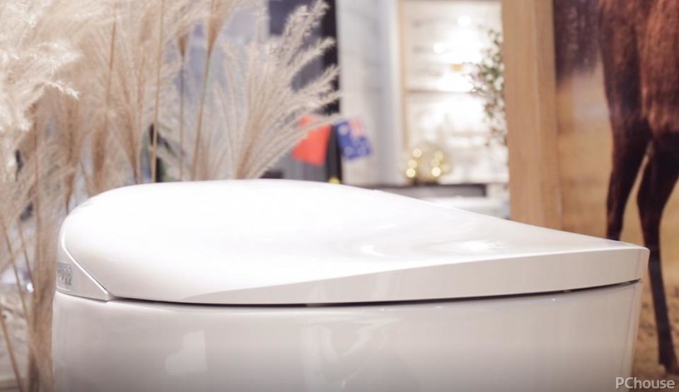 杜菲尼智能马桶db1812b和1812c的区别,杜菲尼智能马桶db1811b