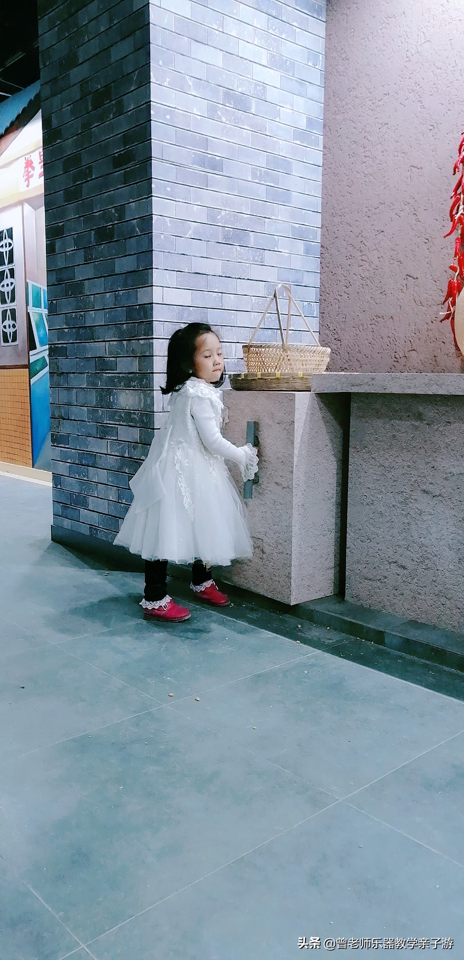 爱菊研学游,爱菊丝路文化菊花园西安