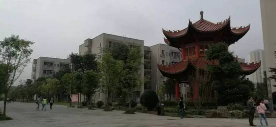 九龙坡区有多少个中学,九龙坡区实验外国语学校田坝中学