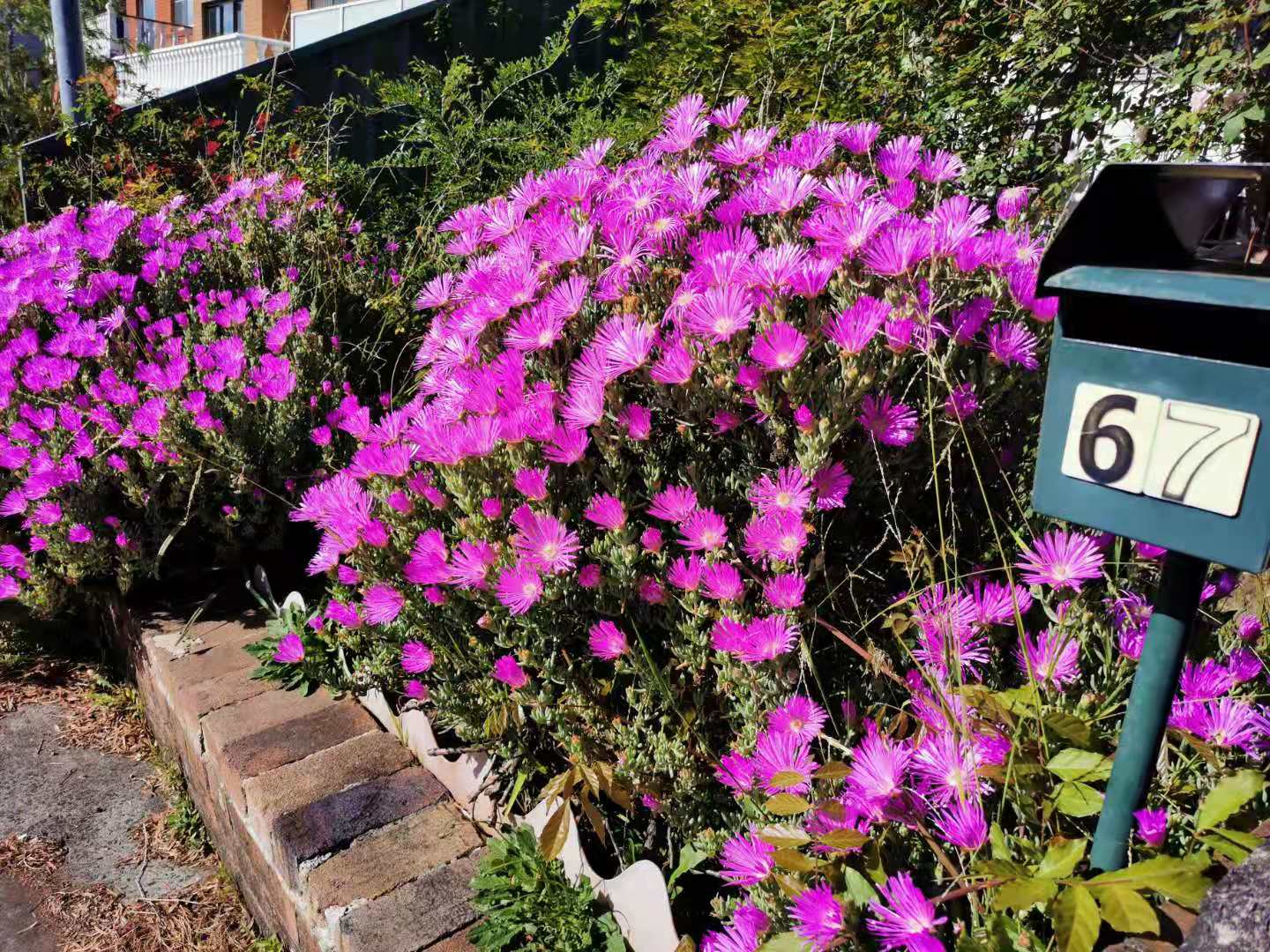 悉尼一年的生活成本,悉尼一年四季穿什么